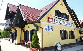 Hotel Pri Belokranjcu